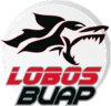 Murciélagos