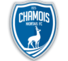 Chamois Niortais